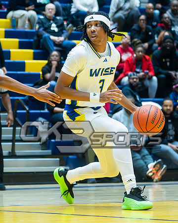 OK3Sports coverage of theDr. Henry A. Wise Jr. Holiday Classic Classic featuring Wise Pumas, Atholton Raiders, CMIT Nort Golden Tigers, Parkdale Panthers, Gwynn Park Yellow Jackets and many more