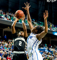 Duke VS Wake Forest ACC 2015