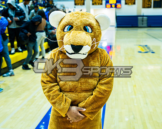 OK3Sports coverage of the high school basketball game featuring the Dr. Henry WIse Pumas and the Laurel Spartans