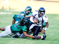 Pigskin Football Scrimmage