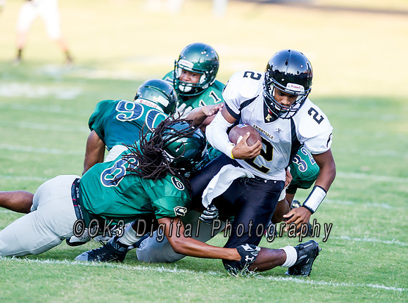 Pigskin Football Scrimmage