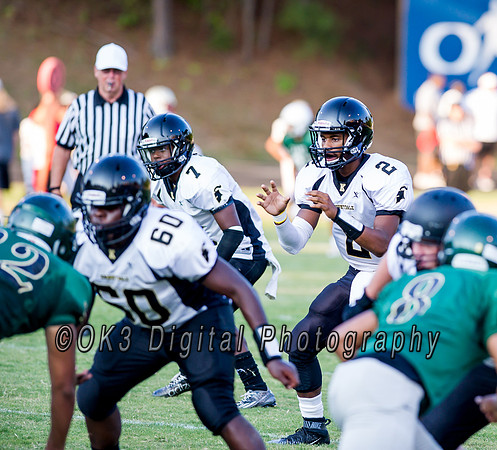 Pigskin Football Scrimmage