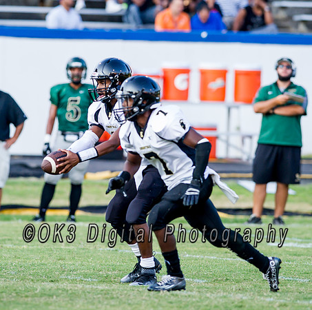 Pigskin Football Scrimmage
