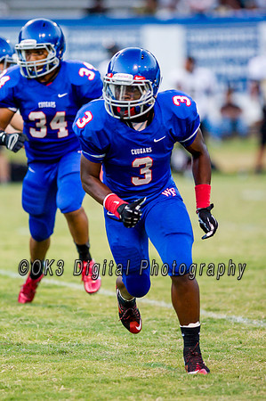 Pigskin Football Scrimmage