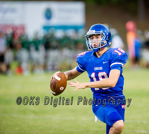 Pigskin Football Scrimmage
