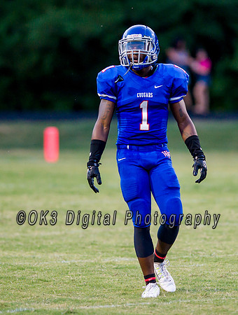Pigskin Football Scrimmage