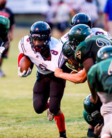 Pigskin Football Scrimmage