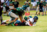 Pigskin Football Scrimmage