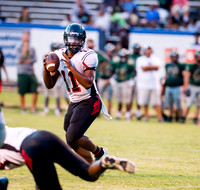 Pigskin Football Scrimmage
