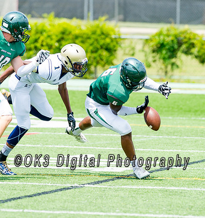 HSOT Jamboree Green Hope High School