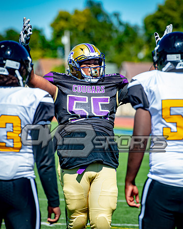 OK3Sports coverage of the high school football game featuring theThurgood Marshall Cougars and the Meadowdale Lions