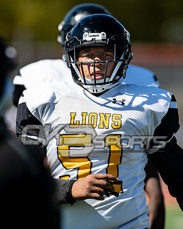 OK3Sports coverage of the high school football game featuring theThurgood Marshall Cougars and the Meadowdale Lions