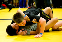 Olen C. Kelley III's coverage of the Greg Hillman competition