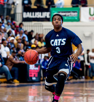 Garner-Millbrook HSOT 2014