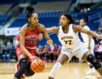 OK3Sports coverage of the 2016-17 UIL Girls State Basketball Championships IV-6A game featuring The Duncanville Panthers vs The Cypress Ranch Mustangs