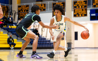 OK3Sports coverage of theDr. Henry A. Wise Jr. Holiday Classic Classic featuring Wise Pumas, Atholton Raiders, CMIT Nort Golden Tigers, Parkdale Panthers, Gwynn Park Yellow Jackets and many more