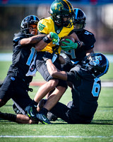 OK3Sports coverage of the high school football game featuring the Eleanor Roosevelt Raiders and the Parkdale Panthers