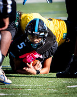 OK3Sports coverage of the high school football game featuring the Eleanor Roosevelt Raiders and the Parkdale Panthers