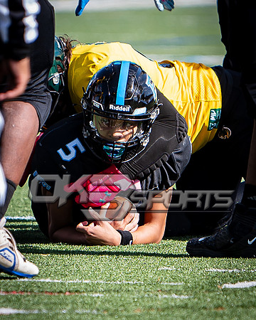 OK3Sports coverage of the high school football game featuring the Eleanor Roosevelt Raiders and the Parkdale Panthers