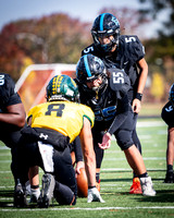 OK3Sports coverage of the high school football game featuring the Eleanor Roosevelt Raiders and the Parkdale Panthers