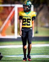 OK3Sports coverage of the high school football game featuring the Eleanor Roosevelt Raiders and the Parkdale Panthers
