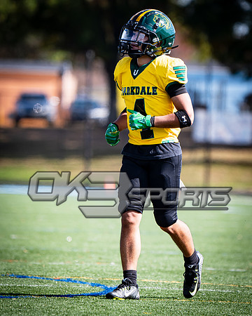 OK3Sports coverage of the high school football game featuring the Eleanor Roosevelt Raiders and the Parkdale Panthers