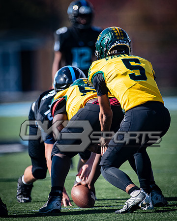 OK3Sports coverage of the high school football game featuring the Eleanor Roosevelt Raiders and the Parkdale Panthers