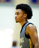 OK3Sports coverage of theDr. Henry A. Wise Jr. Holiday Classic Classic featuring Wise Pumas, Atholton Raiders, CMIT Nort Golden Tigers, Parkdale Panthers, Gwynn Park Yellow Jackets and many more