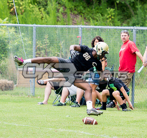 Olen C. Kelley III