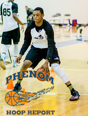 VA Phenom_12