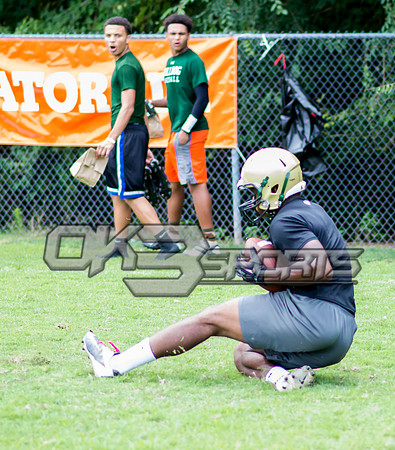 Olen C. Kelley III