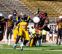 Shaw U 2014 Homecoming