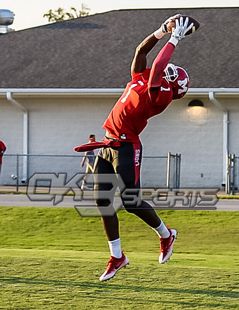 OK3Sports coverage of the Munford Lions and Holtville Bulldogs football game